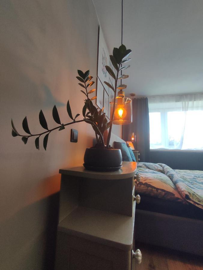 Dian Feelhome Banska Bela Exterior foto