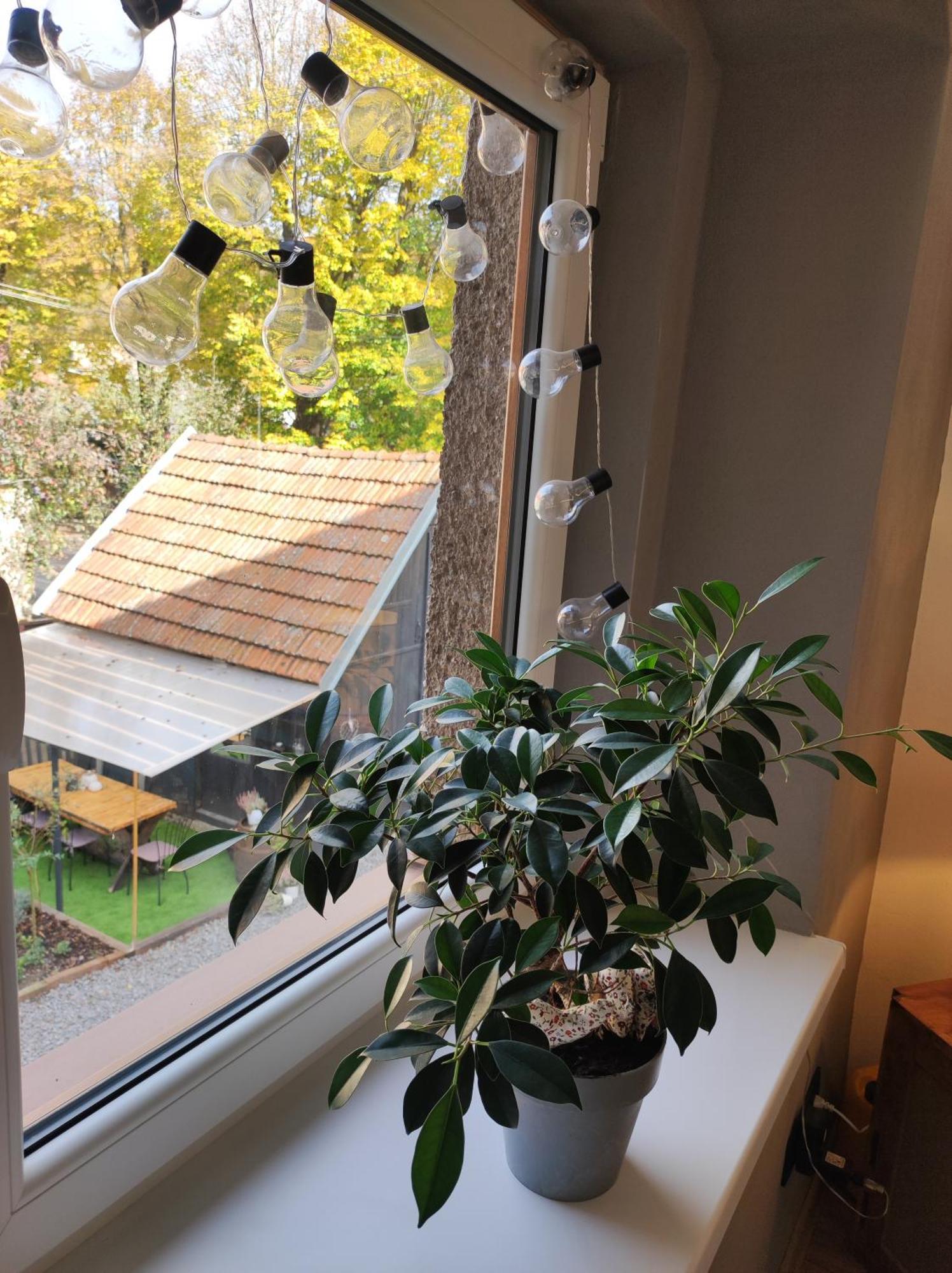 Dian Feelhome Banska Bela Exterior foto